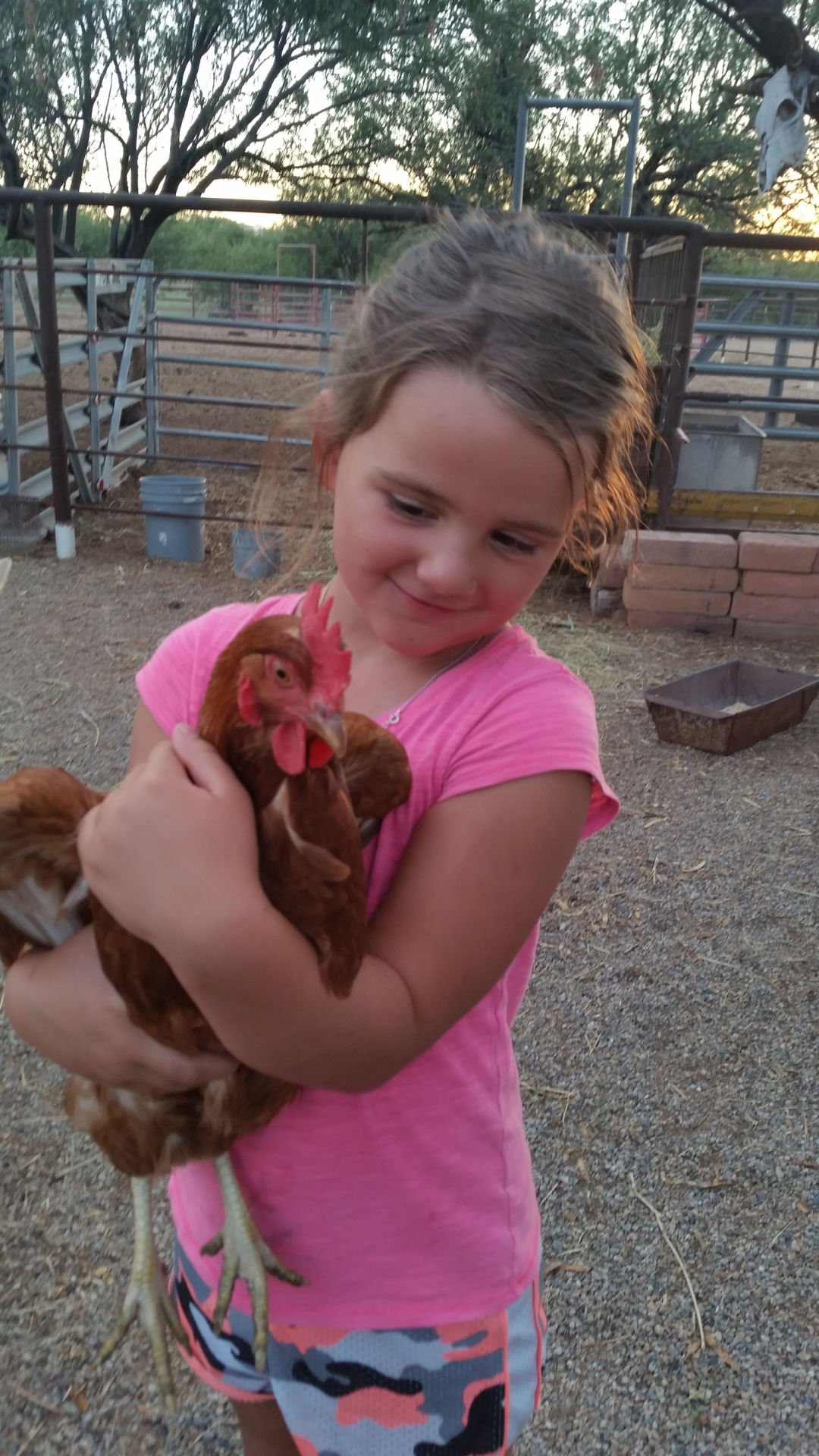 Readers show their chickens